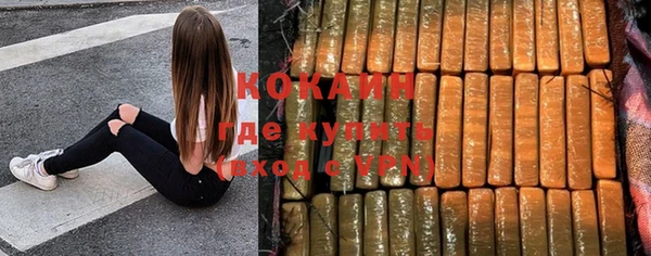 стаф Баксан