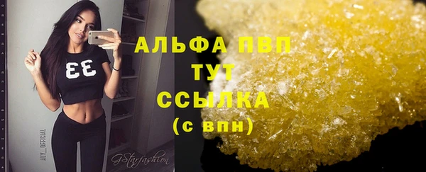 стаф Баксан
