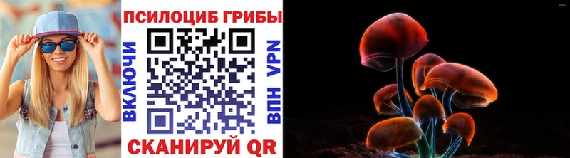 кракен онион  Усть-Лабинск  Псилоцибиновые грибы MAGIC MUSHROOMS 