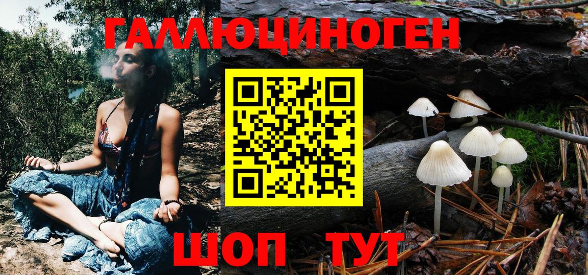 Усть-Лабинск  Галлюциногенные грибы GOLDEN TEACHER  Вход с VPN 