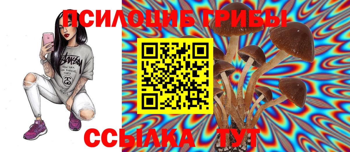 Псилоцибиновые грибы Psilocybine cubensis Усть-Лабинск
